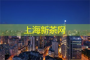 上海夜晚的奇幻旅行