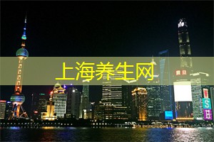 上海篮球联赛：城市的热血象征